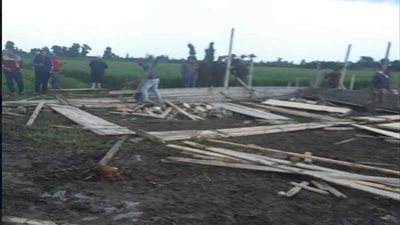 حملة مكبرة لإزالة تعديات على الأراضي الزراعية بالبحيرة