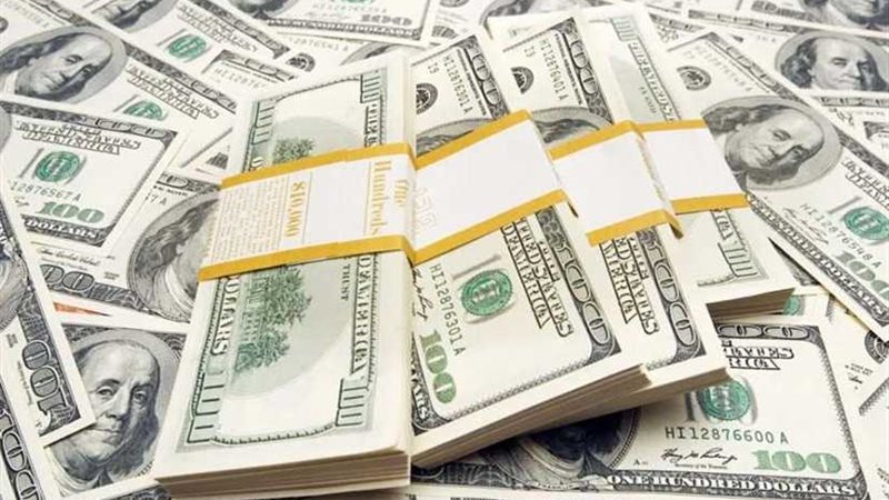 استقرار سعر الدولار