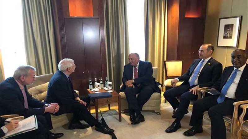 شكرى يبحث مع بوريل