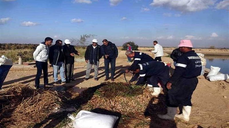 إنتاج السماد العضوي