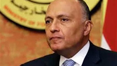 شكري يبحث مع نظيره البريطاني العلاقات الثنائية