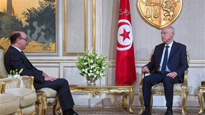 الرئاسة التونسية: الفخفاخ ليس رئيسا لـ