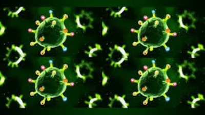 العلماء: 8 سلالات من فيروس كورونا تستشري في العالم