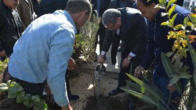 القاضي يغرس شجرة ضمن مبادرة 