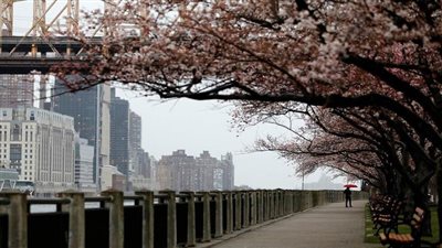 وول ستريت جورنال: السلطات الأمريكية تتبع أساليب استخباراتية في مكافحة كورونا