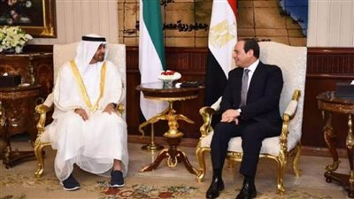 الرئيس السيسى: بحثت مع أخي محمد بن زايد جهود مكافحة انتشار كورونا