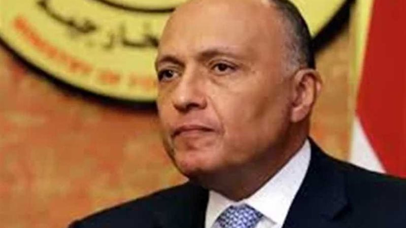 شكري يبحث مع نظيره