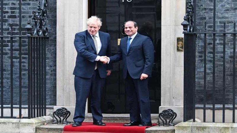 السيسي يؤكد لجونسون