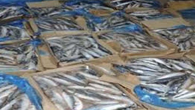 إحباط تهريب 9 أطنان