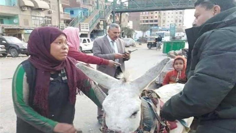 سيدة الكارو تثير