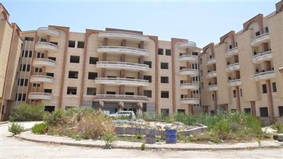 طبيبة مصرية: 