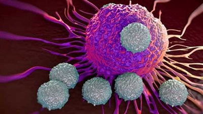 خلايا مناعية تقضي على معظم أنواع السرطان