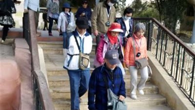 وفد سياحي ياباني يزور آثار بني حسن بالمنيا