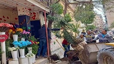 حملة مكبرة لإزالة التعديات والإشغالات من وسط الإسكندرية