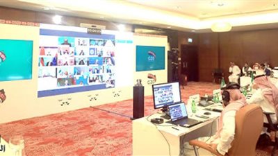 مجموعة العشرين تتعهد بمضاعفة التعاون لحماية الحياة البشرية