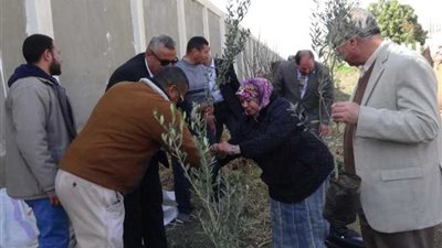 جامعة المنيا تُشارك في حملة 