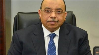 التنمية المحلية: تأجيل سداد أقساط المقترضين من صندوق الوزارة 3 أشهر و