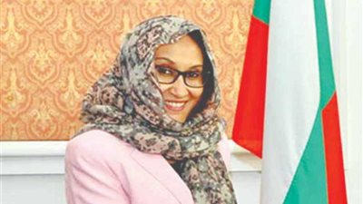 السودان يسعى إلى دعم دولي لحملته لجمع السلاح