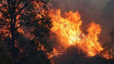 استراليا تفقد الاتصال بطائرة تشارك في إخماد حرائق الغابات