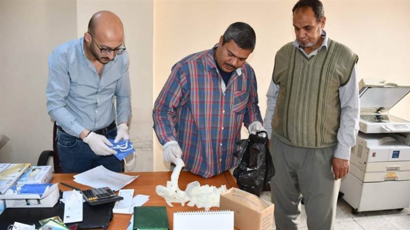 أثناء عملية توزيع