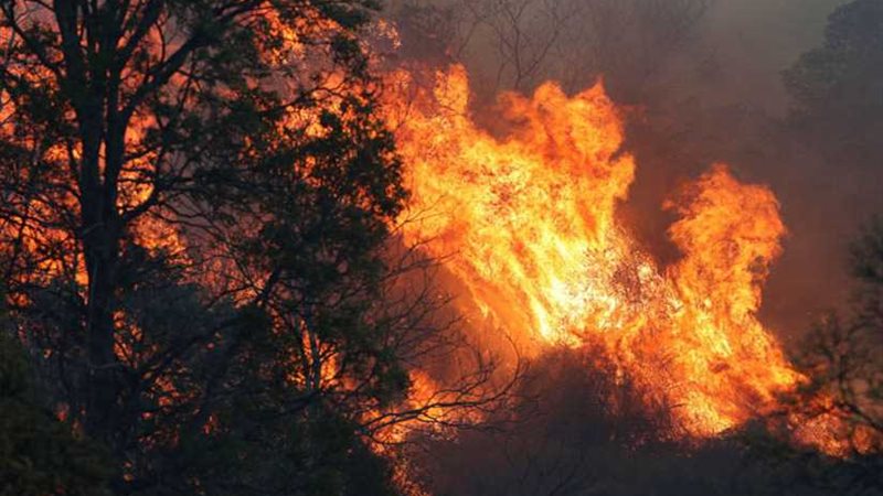 استراليا تفقد الاتصال