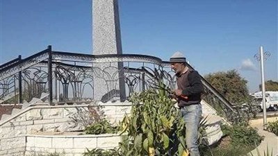 حملات لتجميل الشوارع ببني مزار بالمنيا