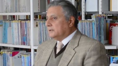 الطايفي : مصر هي صوت أفريقيا القوي