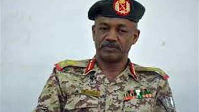 إجراءات لجمع السلاح في شرق دارفور والجزيرة بالسودان