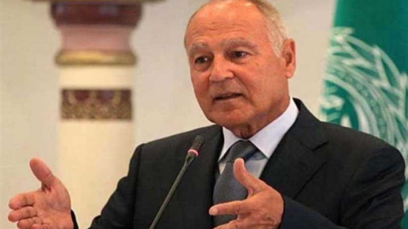 أبو الغيط يدين التصريحات