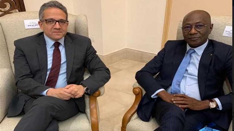 العناني يلتقي وزير