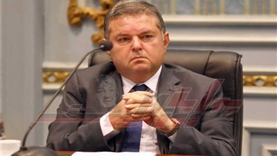 وزير قطاع الأعمال يبحث مع الرئيس الجابوني تعزيز التعاون المشترك