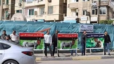 أهالي الإسكندرية يردون على دعوات المقاول الهارب بطريقتهم