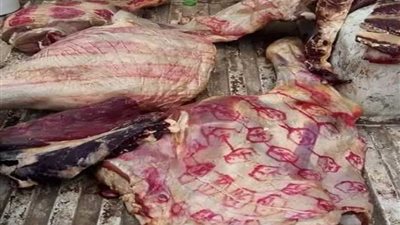 حملة مكبرة للرقابة على محلات الجزارة بدمنهور