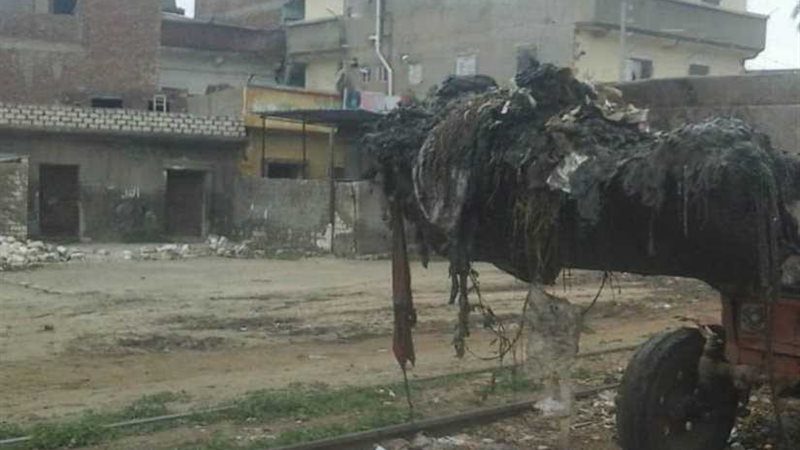 رفع 1014 طن قمامة