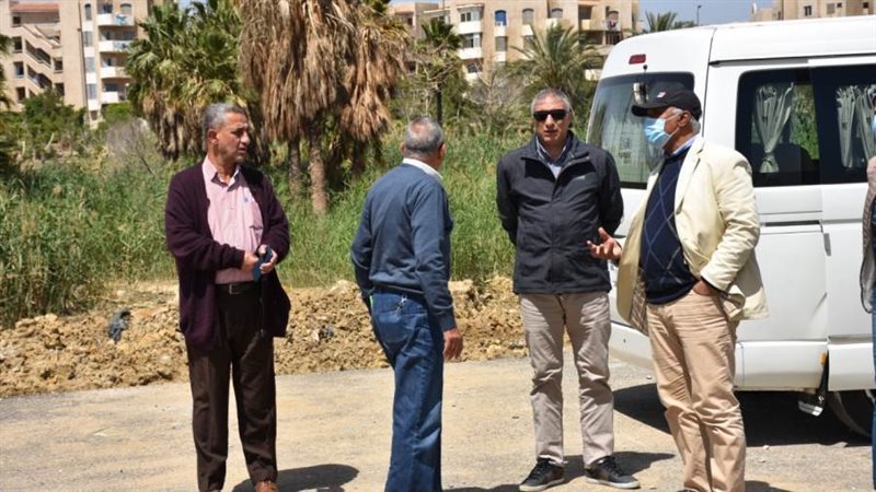 مساعد نائب رئيس هيئة