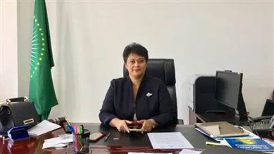 مصر تنافس على عضوية الإتحاد الأفريقى لمكافحة الفساد