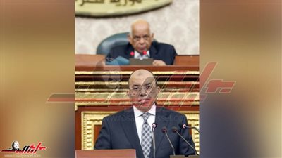 وزير التنمية المحلية في قبضة البرلمان 