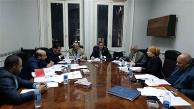 29 تنازلًا و17 طعنًا في انتخابات 