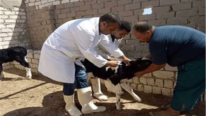 صورة أرشيفة