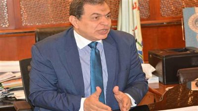 سعفان يتابع أوضاع المصريين بالخارج بعد 