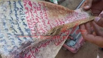 طلاسم سحرية على عظام الحيوانات في مطروح (صور)