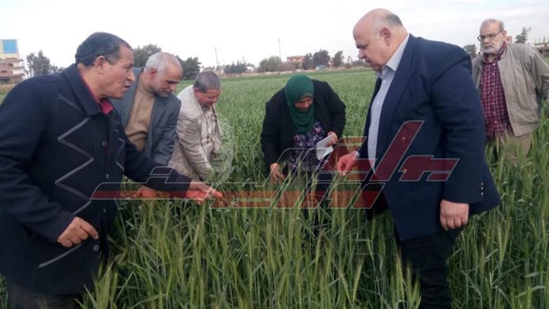 وفد وزارة الزراعة