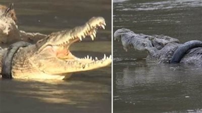  مكافأة لأي شخص يستطيع إزالة 