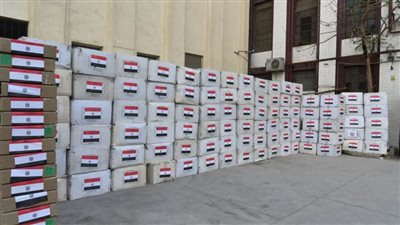 الصحة: 10 أطنان من المستلزمات الوقائية.. هدية مصر للشعب الصيني (صور)