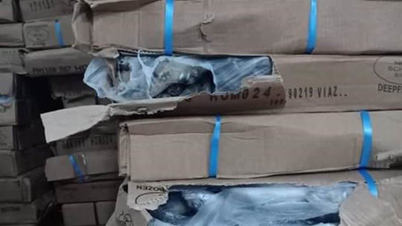 بوابة روز اليوسف