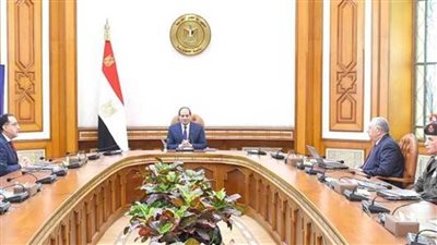عاجل..الرئيس السيسي يوجه بزيادة رقعة الأراضي الزراعية المستصلحة