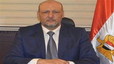 أبوالعطا: عودة المصريين من الصين واليمن تثبت عشق السيسي لشعبه