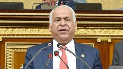 فرج عامر يطالب بحظر تجوال كامل أيام الإجازات والعطل الرسمية 