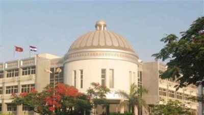 4 كؤوس و14 ميدالية حصاد جامعة المنيا بـ