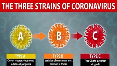 ثلاث سلالات من فيروس كورونا في العالم..”تعرف عليها”